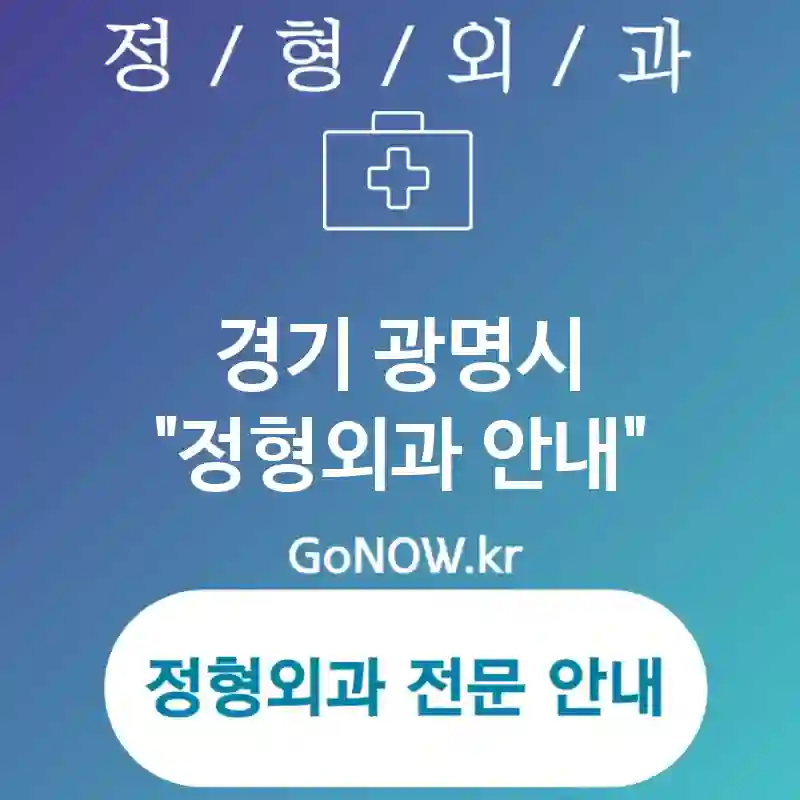 경기 광명시 정형외과 다양한 치료 옵션 제공🔧 정형외과🏥 추천 5곳 (✅최신 기술 도입🔬 ✅신속한 회복 지원🚀 ✅친절한 상담 서비스😊)