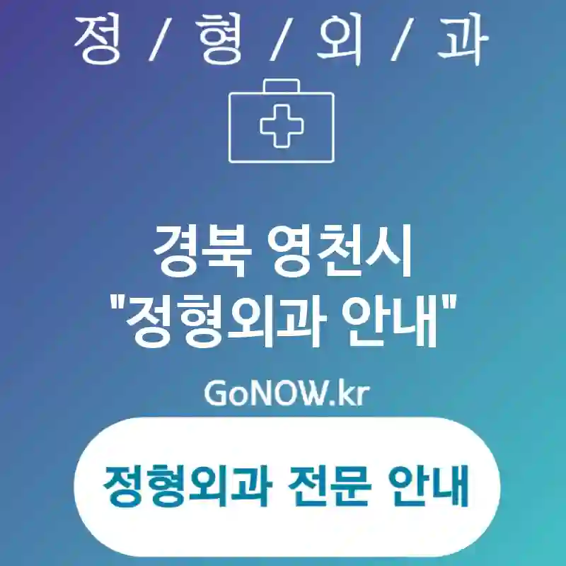 경북 영천시 정형외과 경제적인 선택💰 정형외과🏥 추천 TOP 4 (✅포괄적 진단 체계🌐 ✅환자 맞춤형 관리💡 ✅고객 중심 서비스🌈)