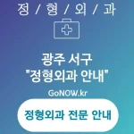 광주 서구 정형외과 고객 친화적 서비스😊 정형외과🏥 BEST 2 (✅최적의 치료 솔루션🧩 ✅안전한 환경 조성🔒 ✅다양한 선택지 제공🔧)