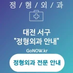 대전 서구 정형외과 효율적이고 체계적인📊 정형외과🏥 추천 4곳 (✅환자 맞춤형 재활 프로그램📋 ✅다학제 협력🤝 ✅환자 중심 서비스🌈)