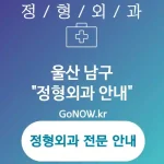 울산 남구 정형외과 전문적이고 체계적인📚 정형외과🏥 추천 TOP 1 (✅정밀 진단 장비🔬 ✅개별화된 치료 솔루션🧩 ✅포괄적 케어 서비스🌐) 울산 남구 정형외과 전문적이고 체계적인📚 정형외과🏥 추천 TOP 1 (✅정밀 진단 장비🔬 ✅개별화된 치료 솔루션🧩 ✅포괄적 케어 서비스🌐)
