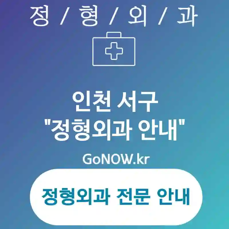 인천 서구 정형외과 효율적이고 체계적인📈 정형외과🏥 추천 5 (✅첨단 기술 도입⚙️ ✅친절한 의료진 구성😊 ✅다학제 협진🤝)