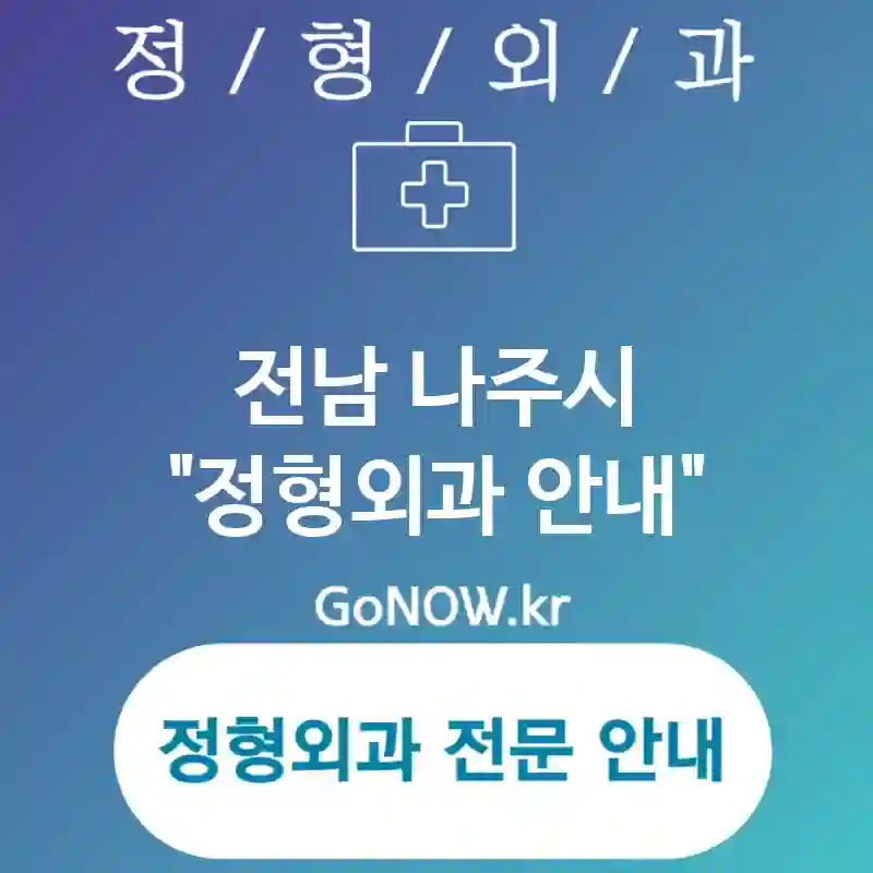 전남 나주시 정형외과 혁신적인🌟 정형외과🏥 추천 TOP 4 (✅환자 중심 서비스💡 ✅안전한 수술 환경🔒 ✅다양한 치료 옵션🔧)