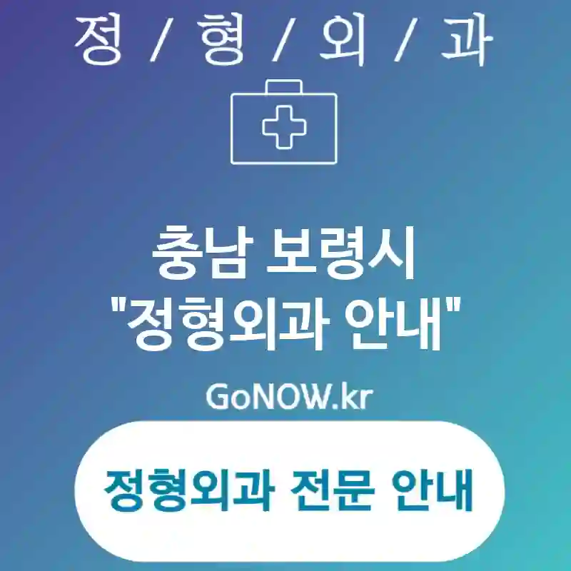 충남 보령시 정형외과 효율적인🌟 정형외과🏥 추천 3곳 (✅친절한 의료진😊 ✅안락한 환경 제공🛋 ✅다학제 협력🤝)