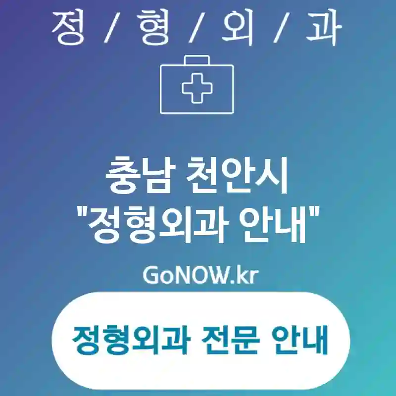 충남 천안시 정형외과 최고의🏅 정형외과🏥 추천 TOP 5 (✅효율적 치료 솔루션🧩 ✅최신 의료 장비⚙️ ✅다양한 치료 옵션🔧)
