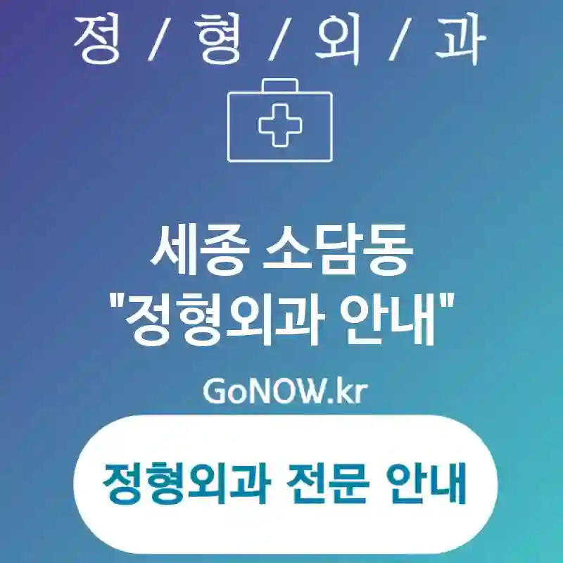 세종 소담동 정형외과 신뢰할 수 있는🤝 정형외과🏥 추천 2곳 (✅효율적 진료 체계📊 ✅안전한 수술 환경🔒 ✅포괄적 진단 체계🌐)