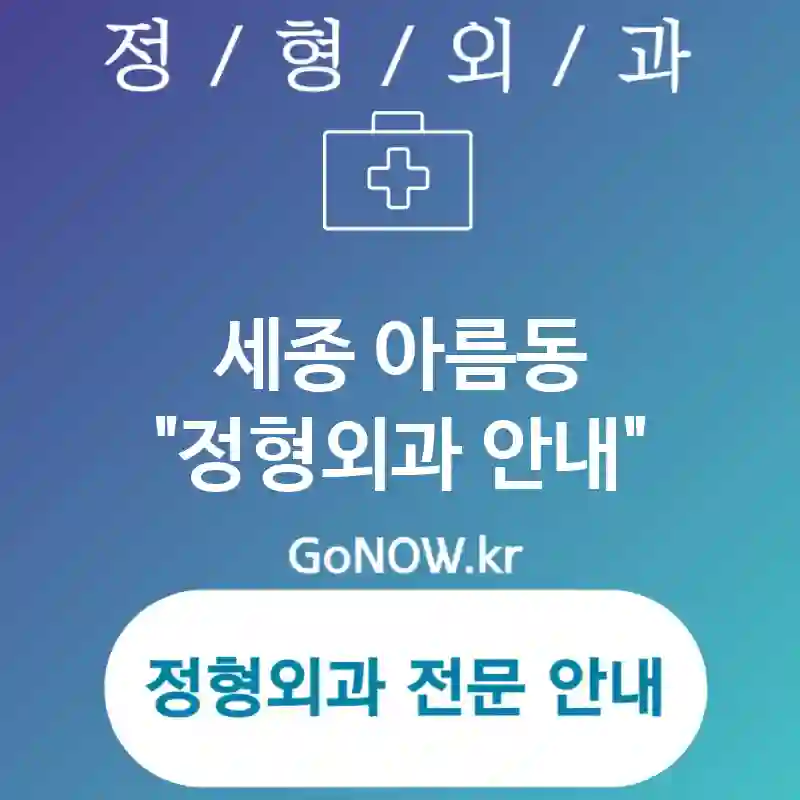 세종 아름동 정형외과 가성비 높은🔥 정형외과🏥 추천 1곳 (✅환자 맞춤 치료💖 ✅다양한 치료 옵션 제공🔧 ✅친절한 상담 서비스😊)