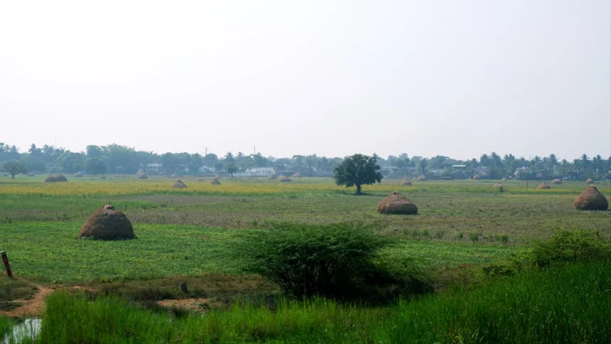 Anapji