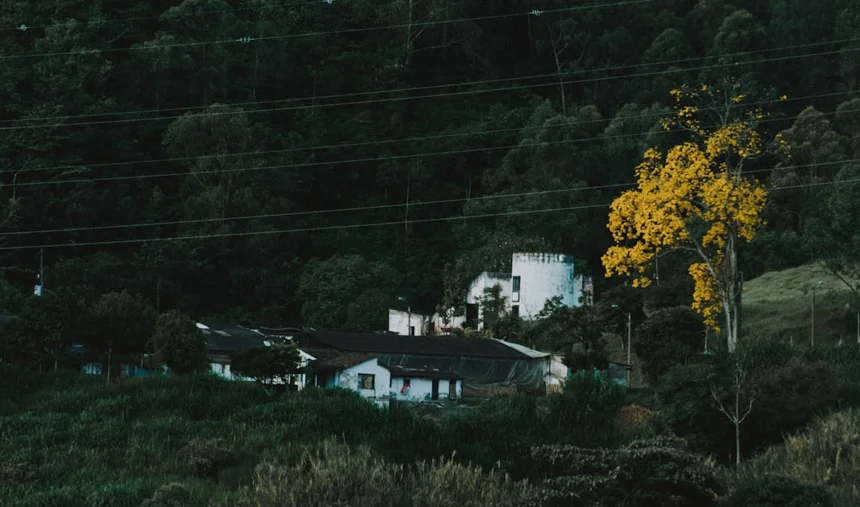 Goryeosan