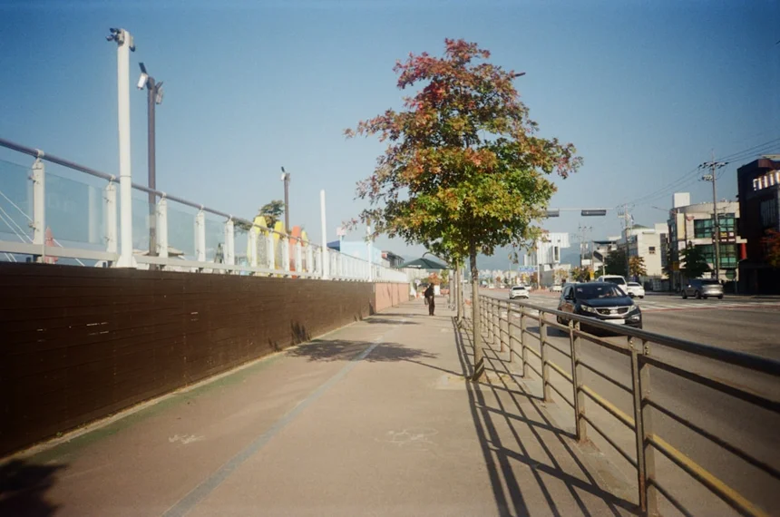 춘천 소양강스카이워크 필수 방문 꿀팁