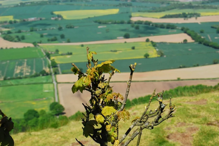 부산타워에서 즐기는 멋진 야경과 데이트 코스